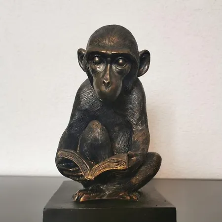 公寓 Aclas 瓦尔贝拉